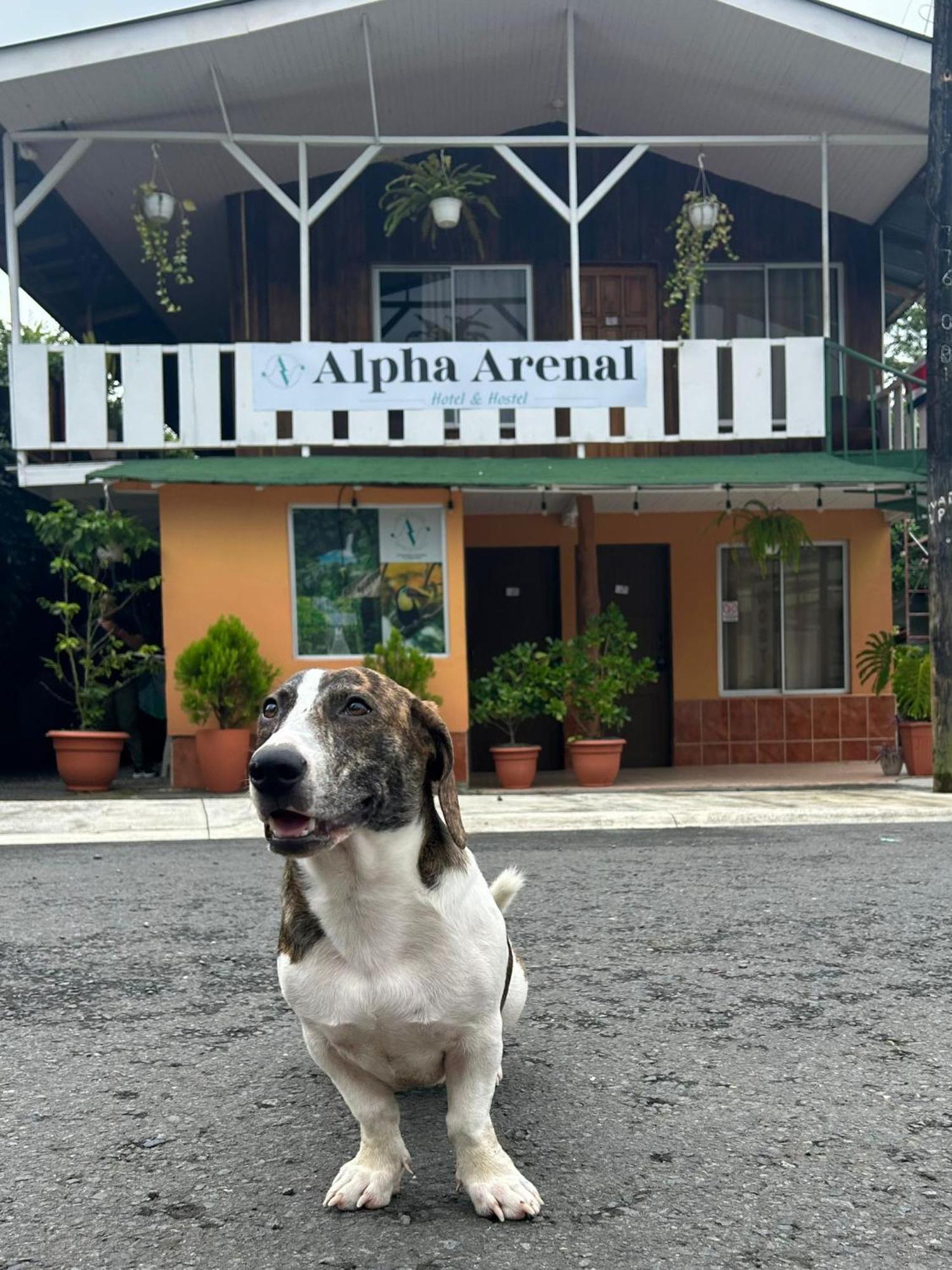 Alpha Arenal Hostel La Fortuna Exterior foto